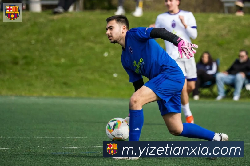 开云kaiyun网页版平台生态图